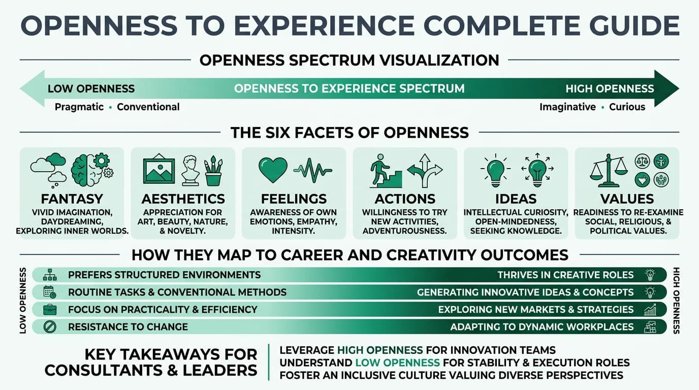 Detailed infographic showing the facets of openness to experience in the Big Five personality model, including fantasy, aesthetics, feelings, actions, ideas, and values with career and creativity implications